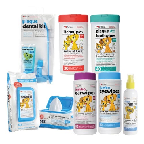 Hygiene Essentials For Your Dog